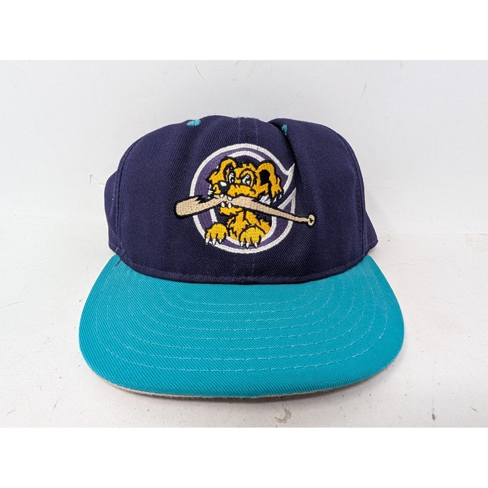 VINTAGE Charleston Riverdogs Hat Cap Fitted 7 1/2 MiLB Baseball Pro Model USA